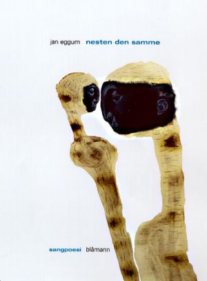 bokomslag